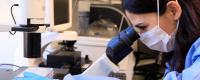 Scientist looking through a microscope